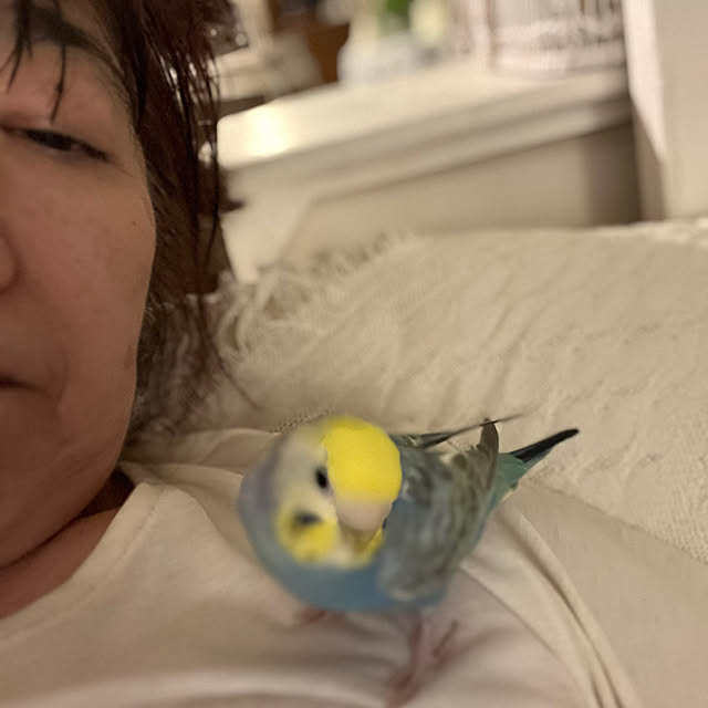 Atsukoさんの部屋