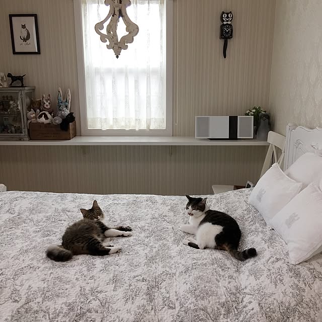 yuchiさんの実例写真