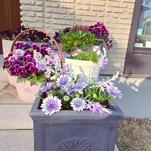 mutyukingさんの実例写真