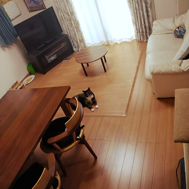 h-a-ri.mamaさんの実例写真