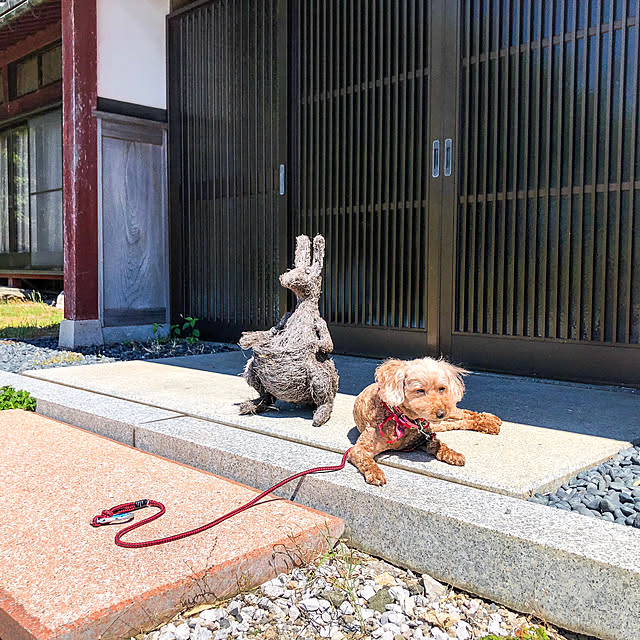 Tomさんの実例写真