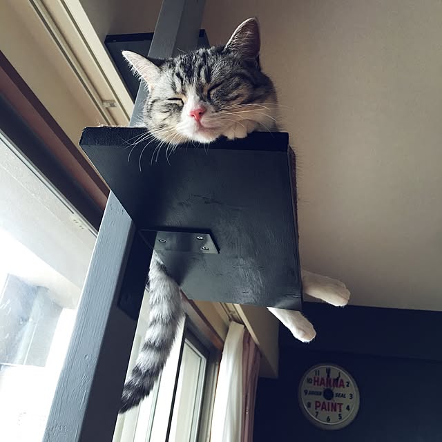 Shojiさんの実例写真