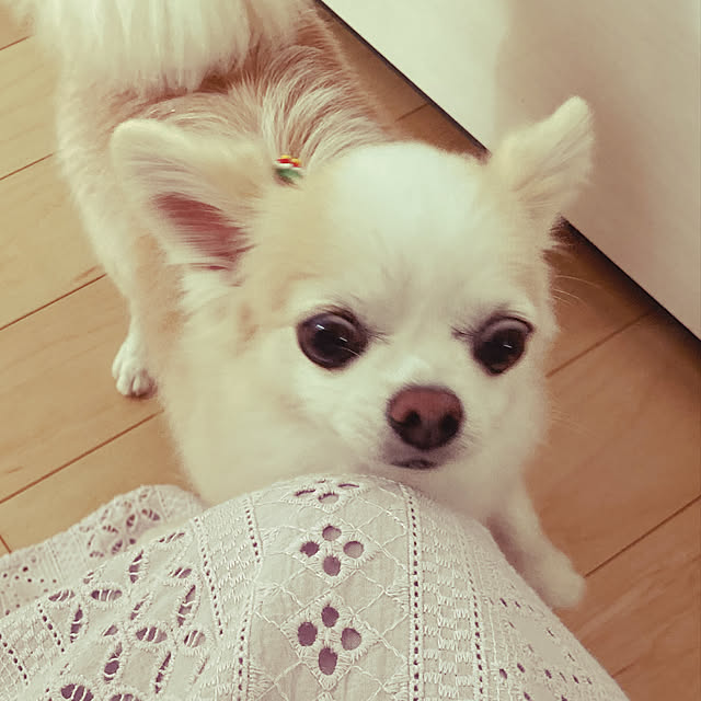 Sweetpeaさんの実例写真
