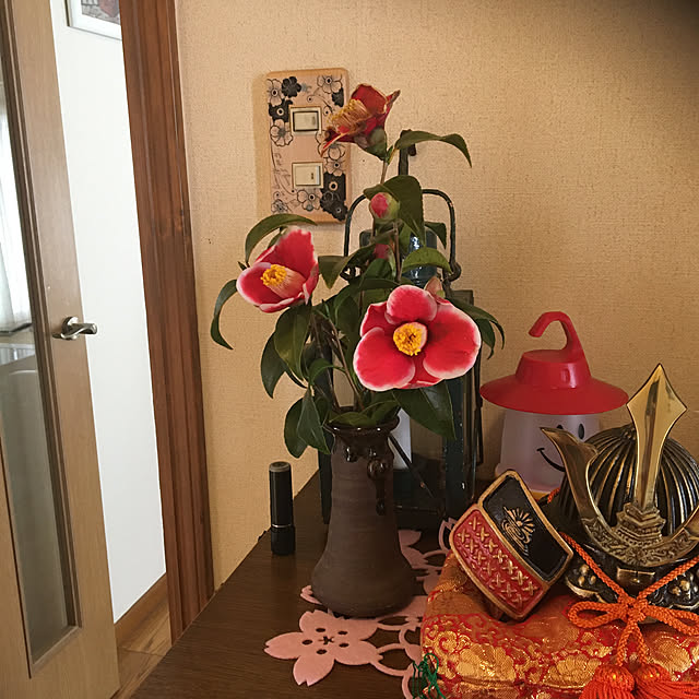 chIoeさんの実例写真