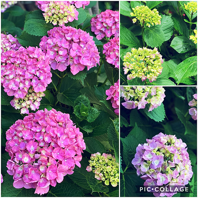 yukarin-gardenさんの実例写真