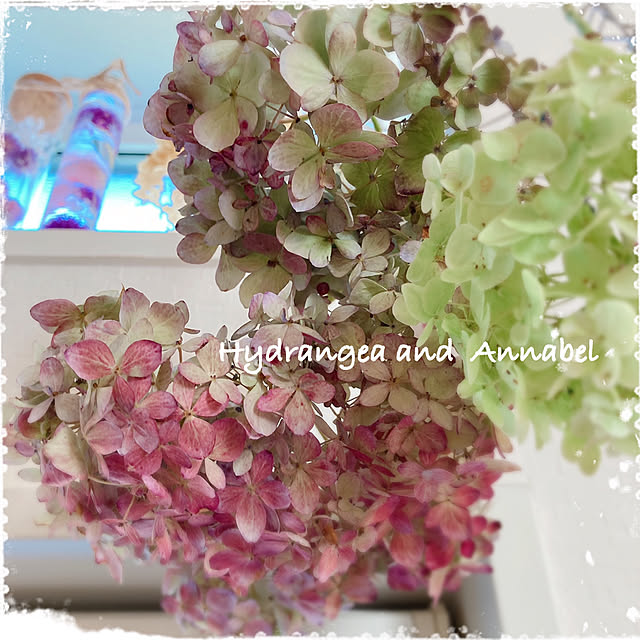 kiraraさんの実例写真
