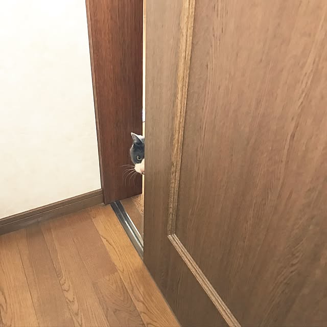 hacchiさんの実例写真