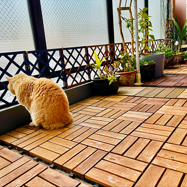 naokoさんの部屋