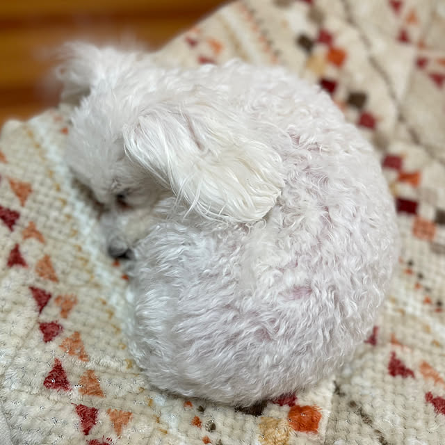 kakoさんの実例写真