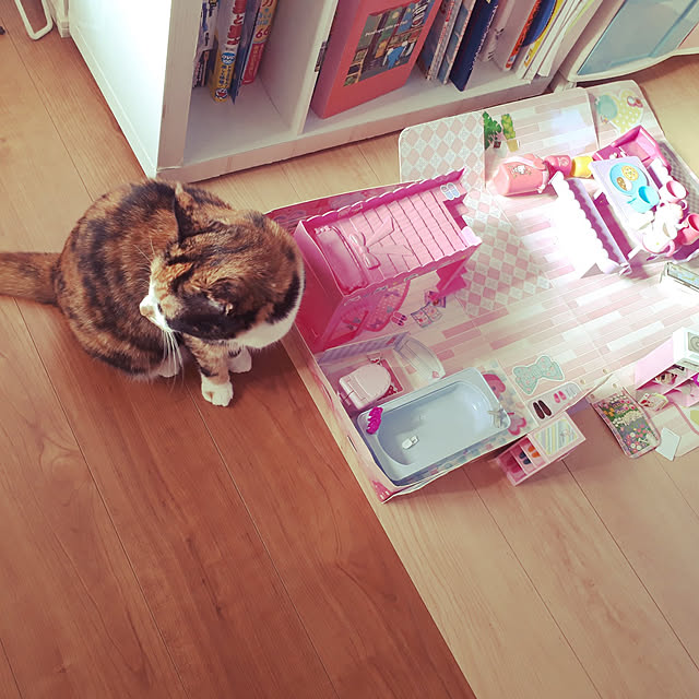 aiさんの実例写真