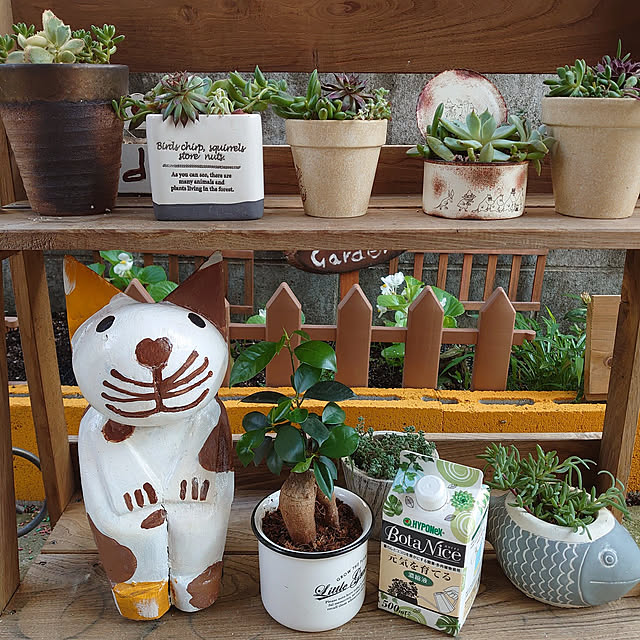 fukuさんの実例写真