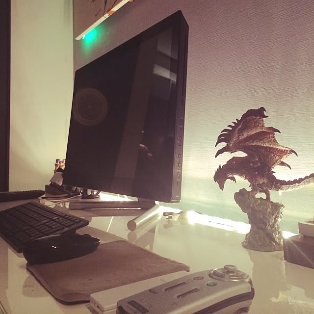 RENRENさんの実例写真
