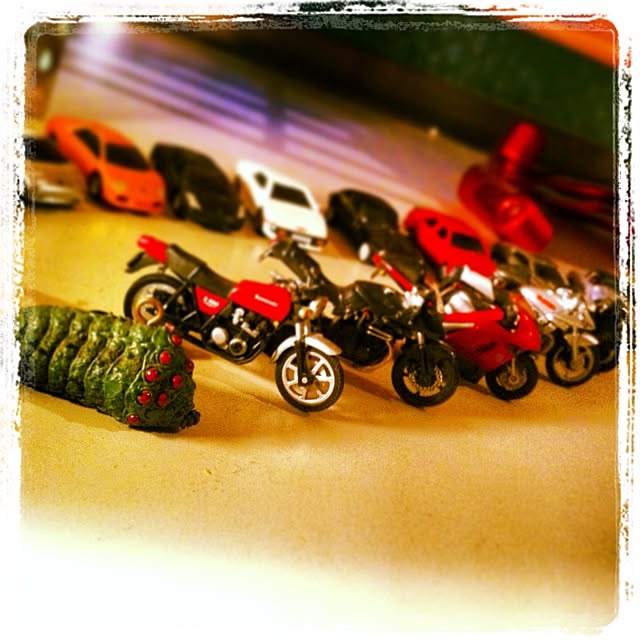 SHELBYさんの実例写真