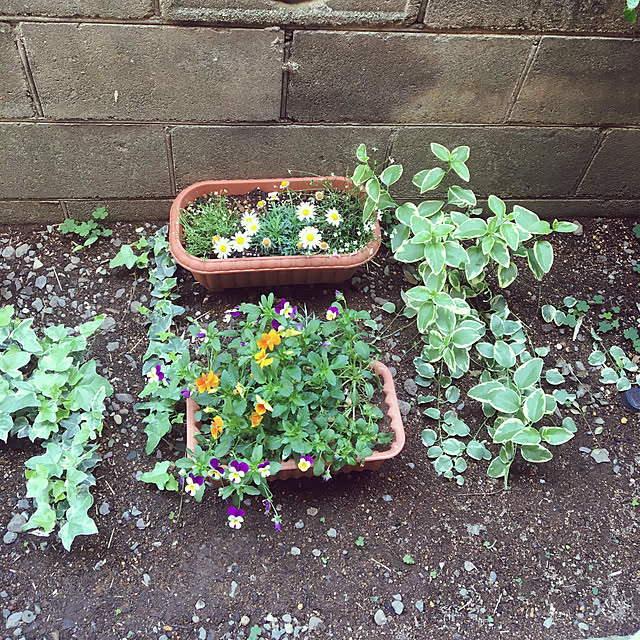 yomiyomiさんの実例写真