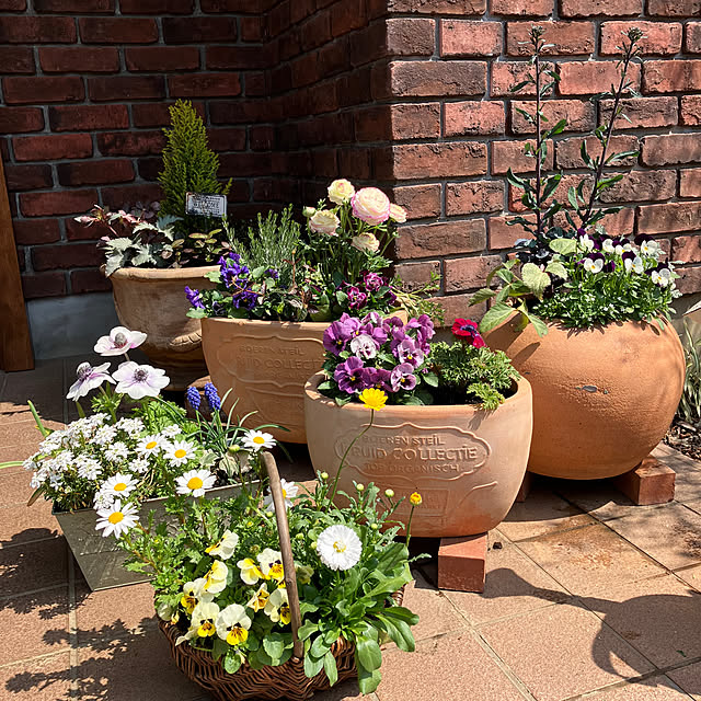 ikubooさんの実例写真