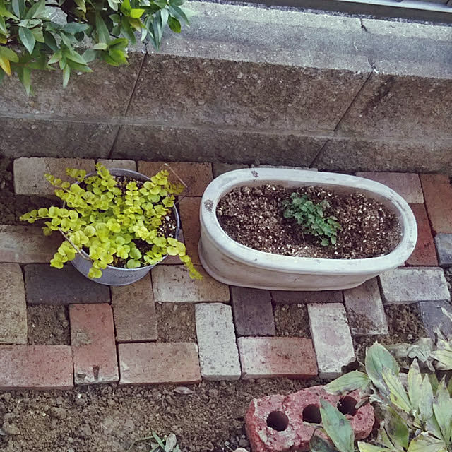 chikohiroさんの実例写真