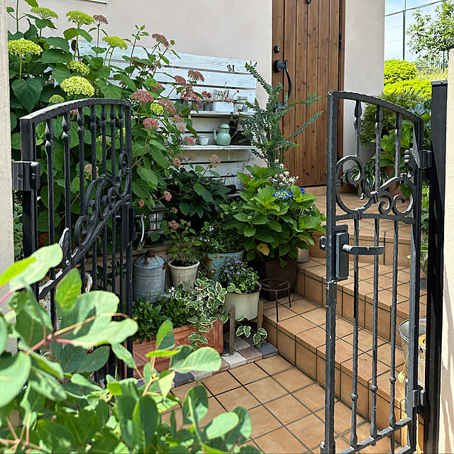 kokkomachaさんの部屋
