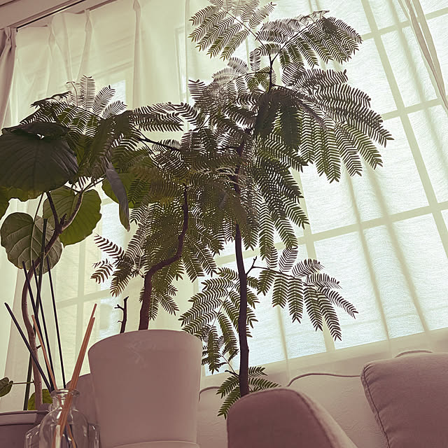 zakimamaさんの実例写真