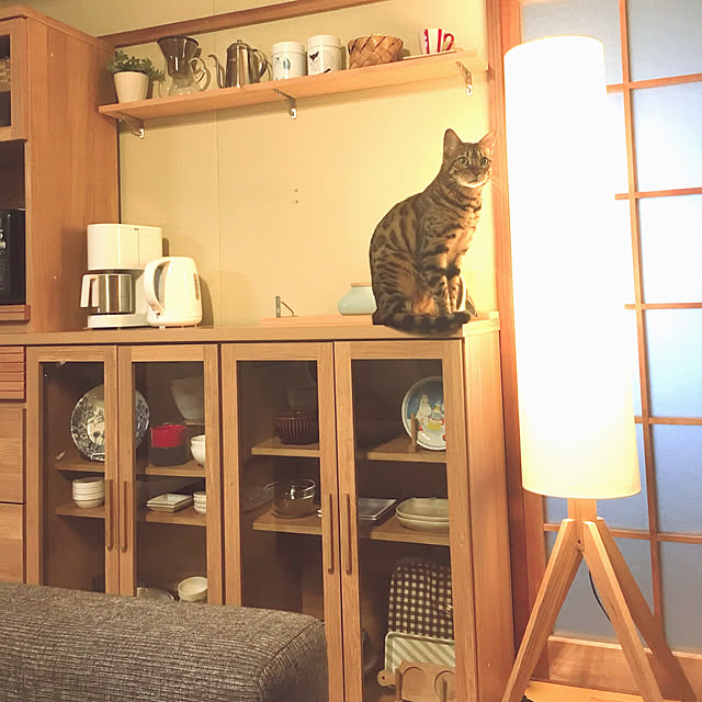 anさんの実例写真