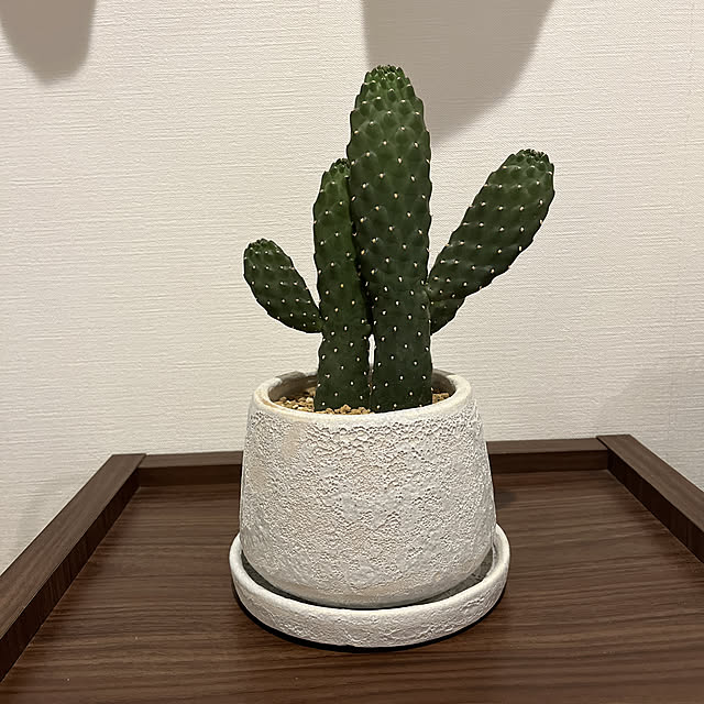 Michikoさんの実例写真