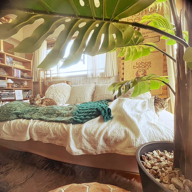 Mさんの実例写真