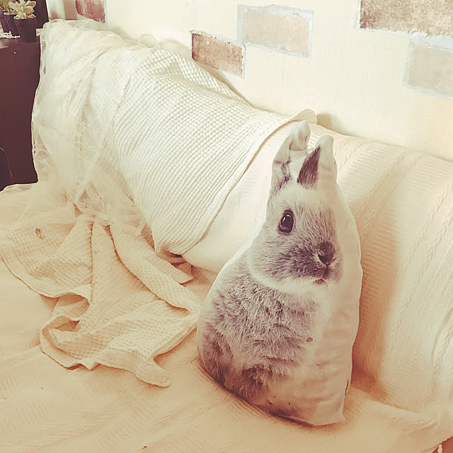 USAGiNさんの実例写真