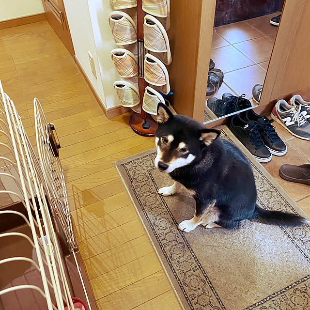 natubaさんの実例写真