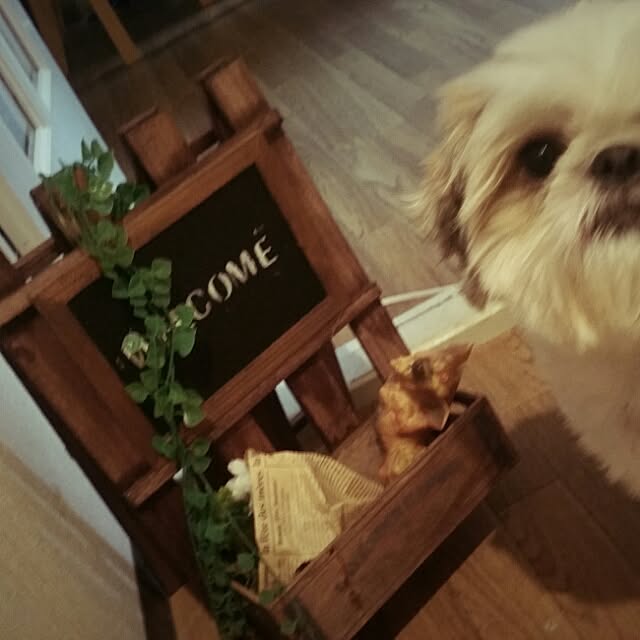 ted-ysdさんの実例写真