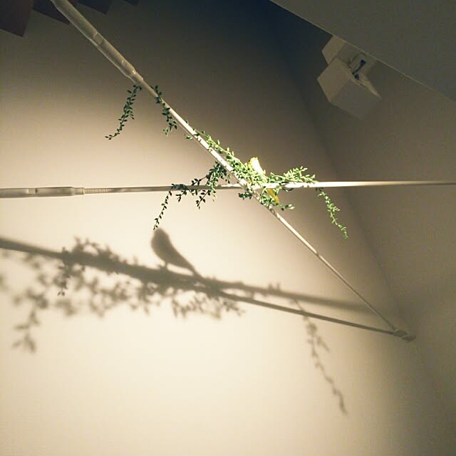 storkさんの実例写真