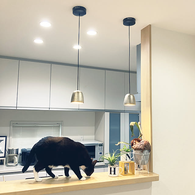 m.coccoさんの実例写真
