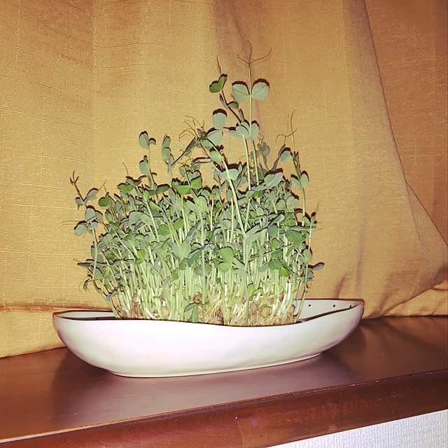 Tenさんの実例写真