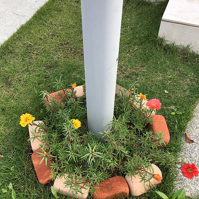 kokkokeiyamaさんの実例写真