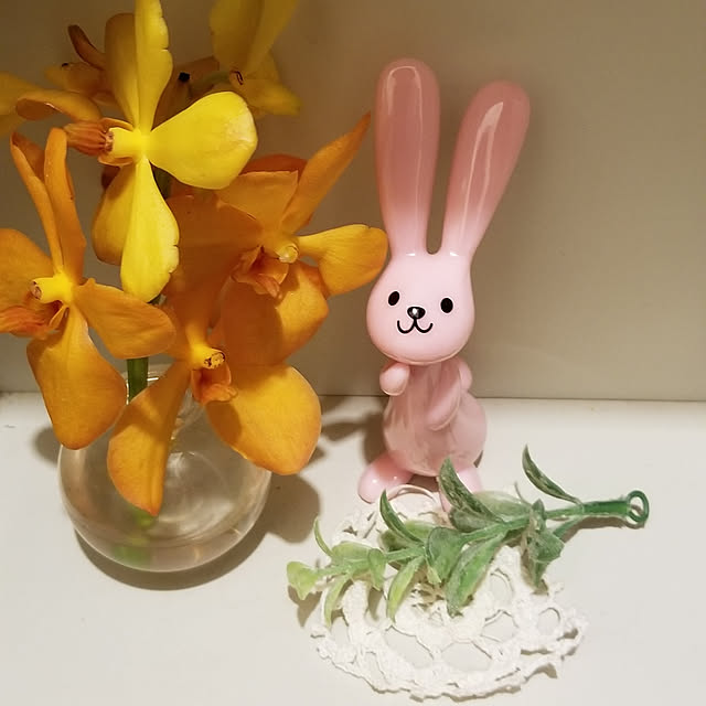 rumirumiさんの実例写真