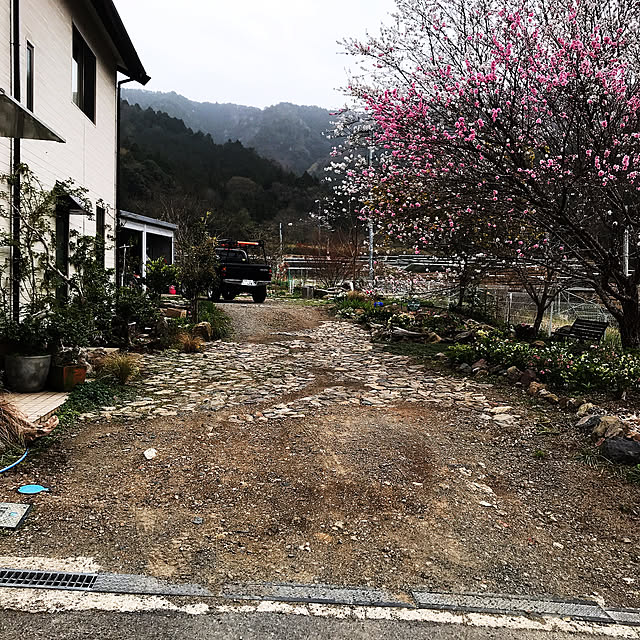 pepeさんの実例写真