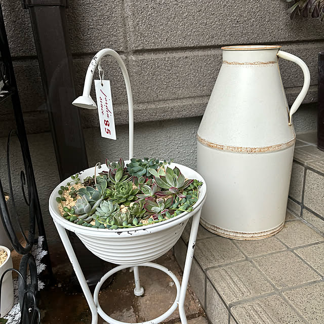 momocchiさんの部屋