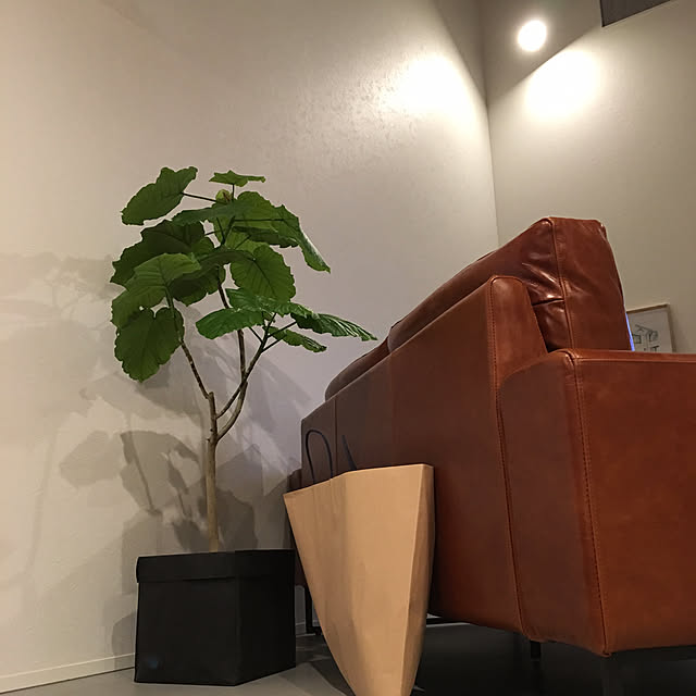 Noboさんの実例写真