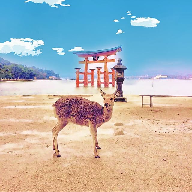 実例写真