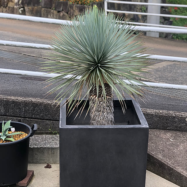 URさんの実例写真