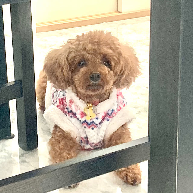 MOMOMAMAさんの部屋