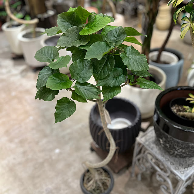 Kuniさんの部屋