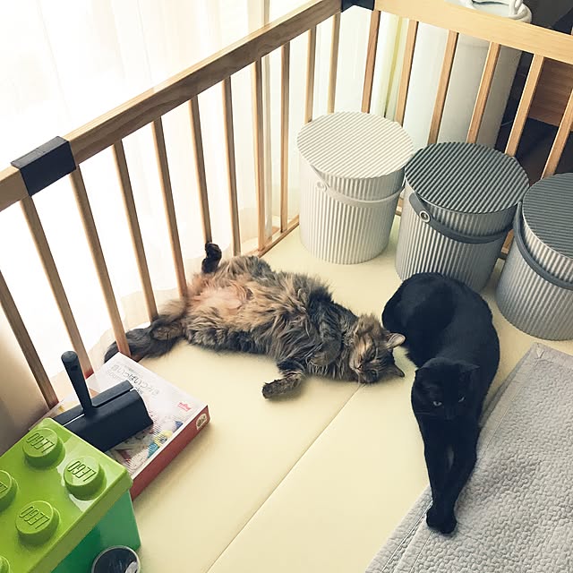 yuki0511さんの実例写真