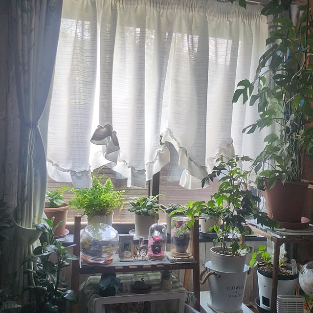 quanshanxia037さんの実例写真