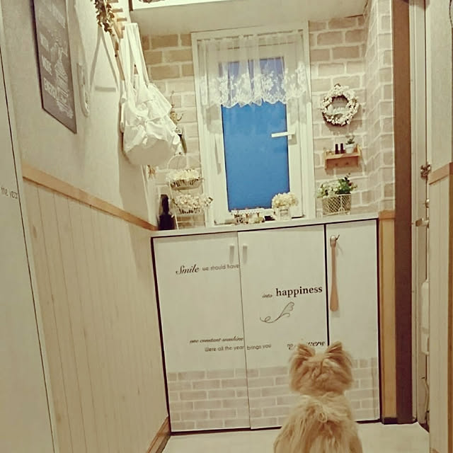 実例写真