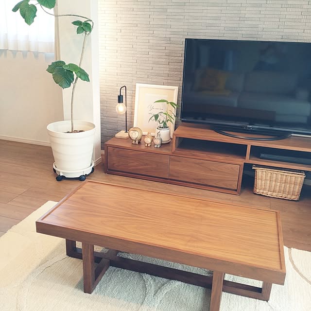 tan5さんの実例写真