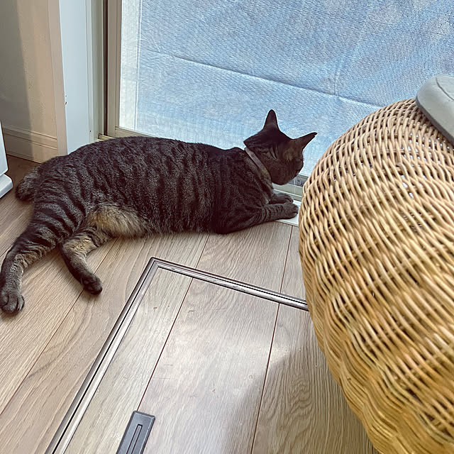 masamasaさんの部屋