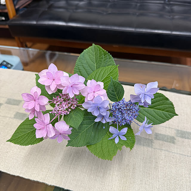 sakakenさんの部屋