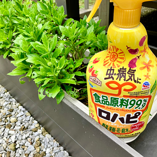 onsen-_-tamagoさんの実例写真