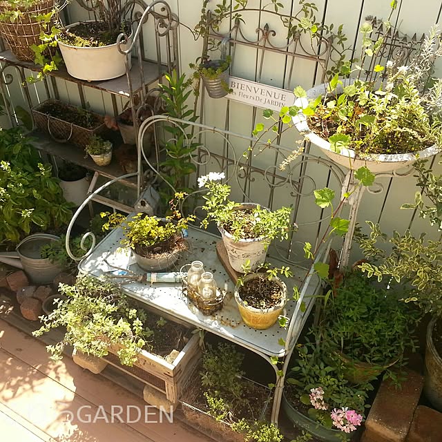 yururiragardenさんの実例写真