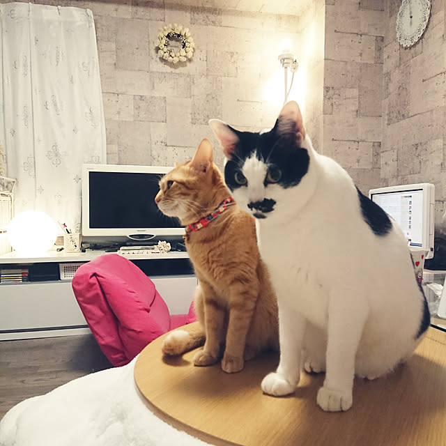asuminさんの実例写真
