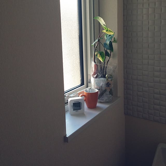 minminさんの実例写真